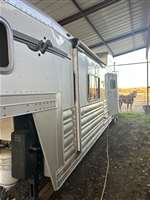 2009 3 horse Platinum 