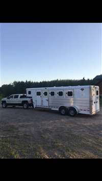 2019 4 horse Hart 4h