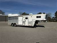 2022 Stock horse Platinum 