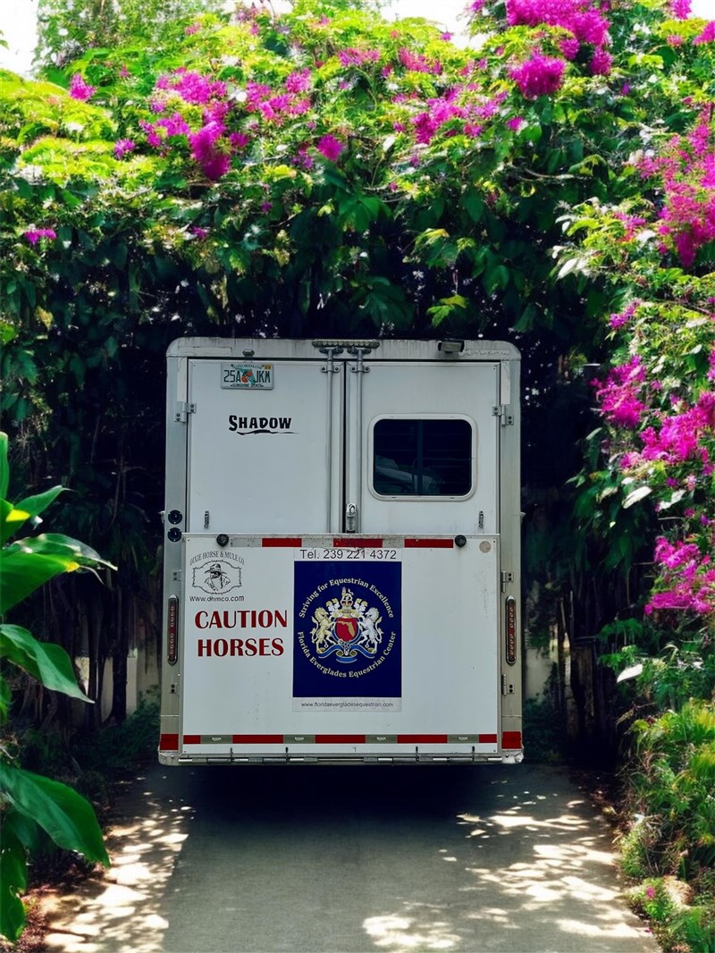 Trailer Image