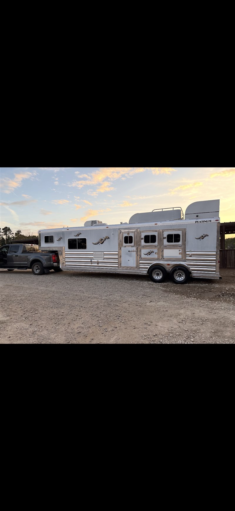 2010 Platinum Coach