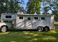 2006 3 horse Platinum 