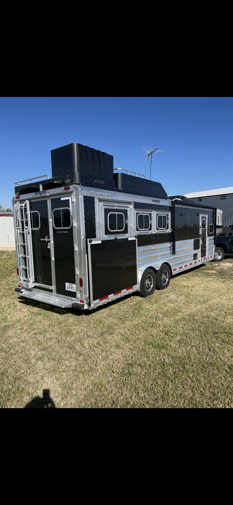 2026 Platinum Coach 3 horse