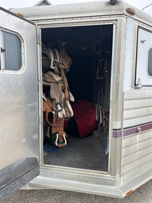 2001 4-star 2 horse