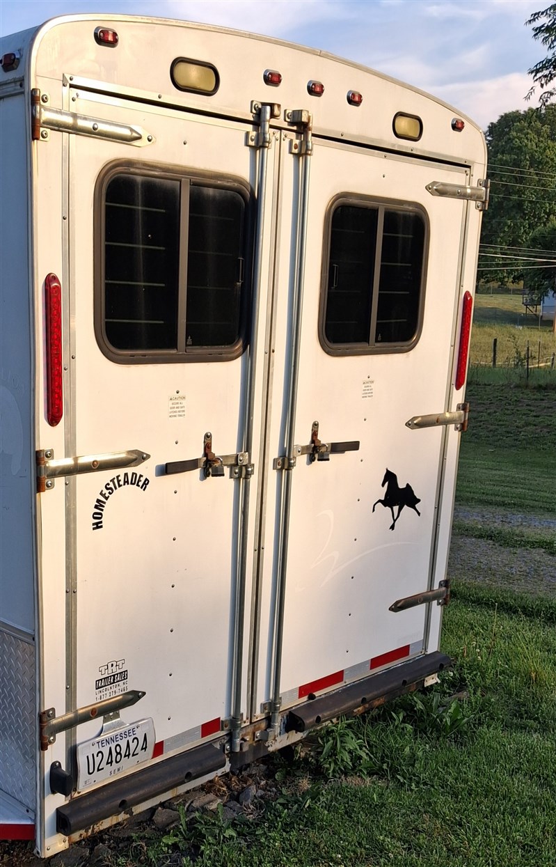 2027 Homesteader stallion