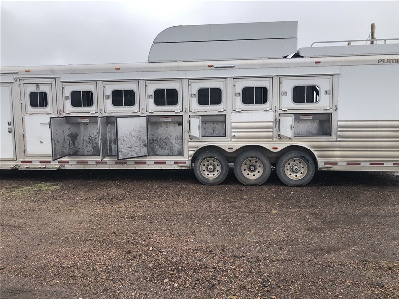 2016 Platinum Coach horse