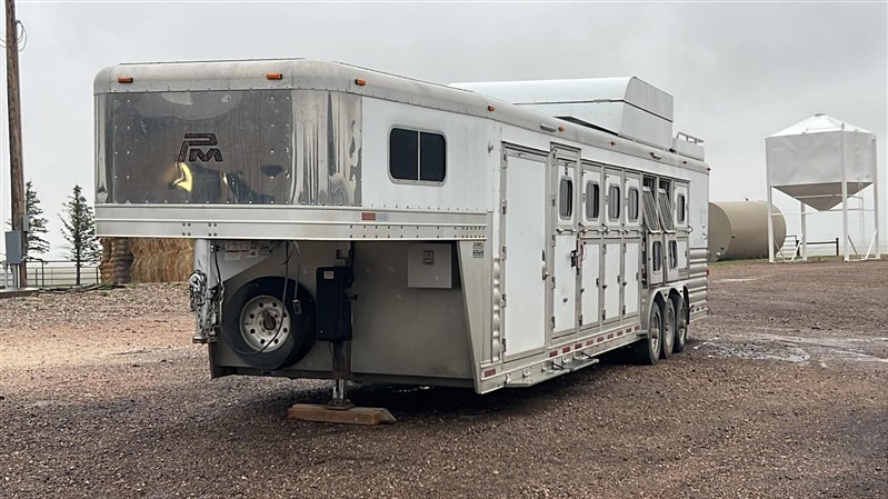 2016 Platinum Coach horse
