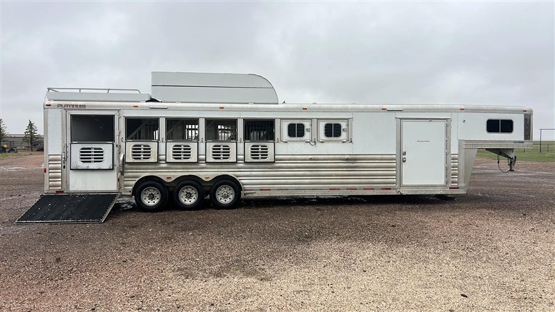 2016 Platinum Coach horse
