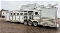 2016 Platinum Horse