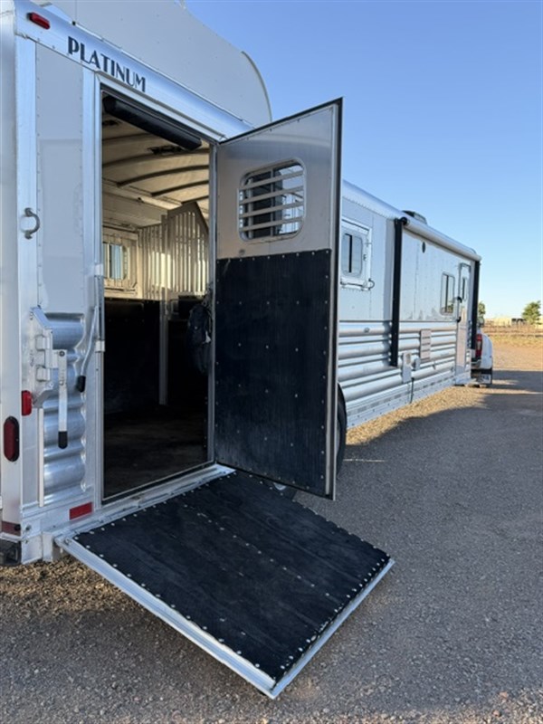 2010 Platinum Coach 4/5 horse