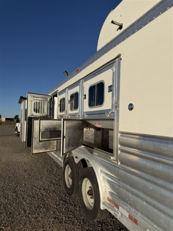 2010 Platinum Coach 4/5 horse