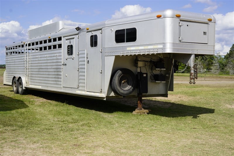 2004 4-star 8-11horse