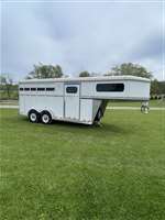 1999 Circle J Riata