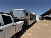 2017 Stock horse Sundowner 10 Horse