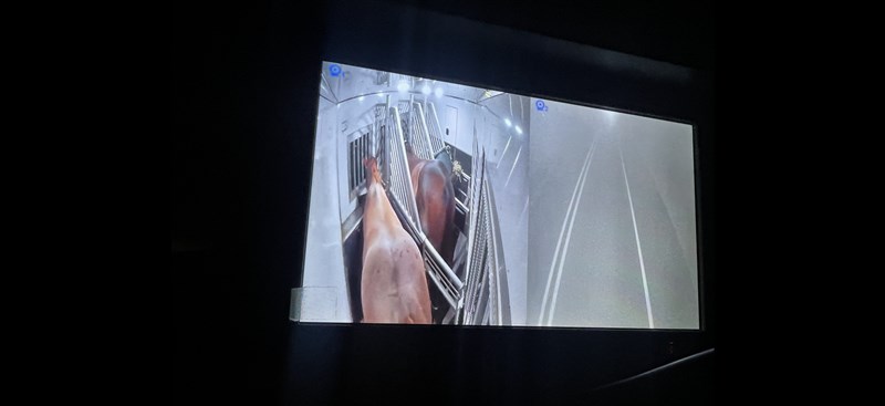 Trailer Photo 6