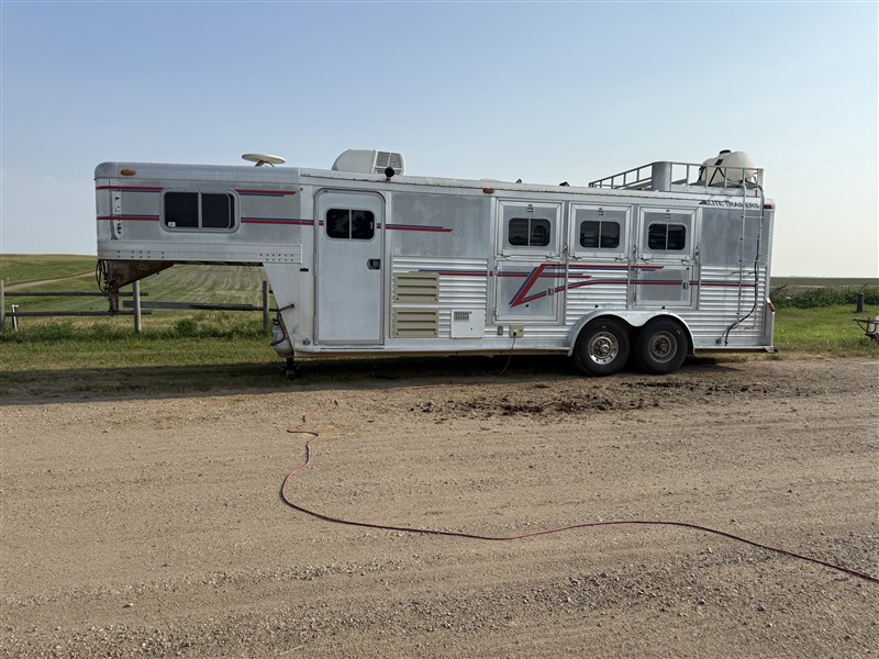 2000 Elite 3 Horse