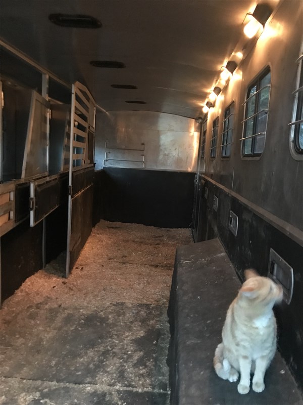 Trailer Photo 8