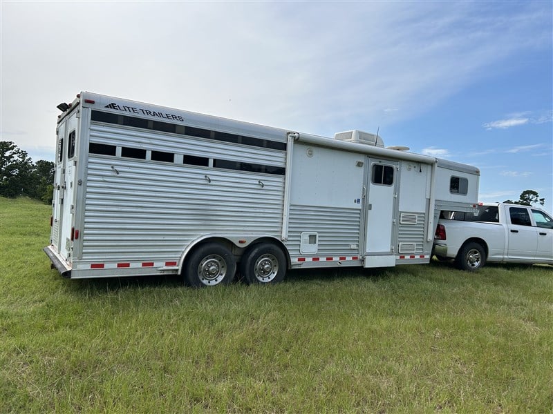 2006 Elite 3 horse