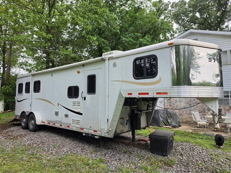 2008 Bison Stratus Express 380ME