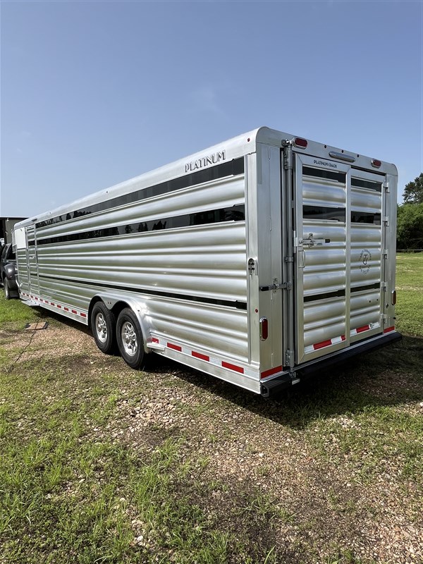 2026 Platinum Coach show cattle. last one at this price demo sale