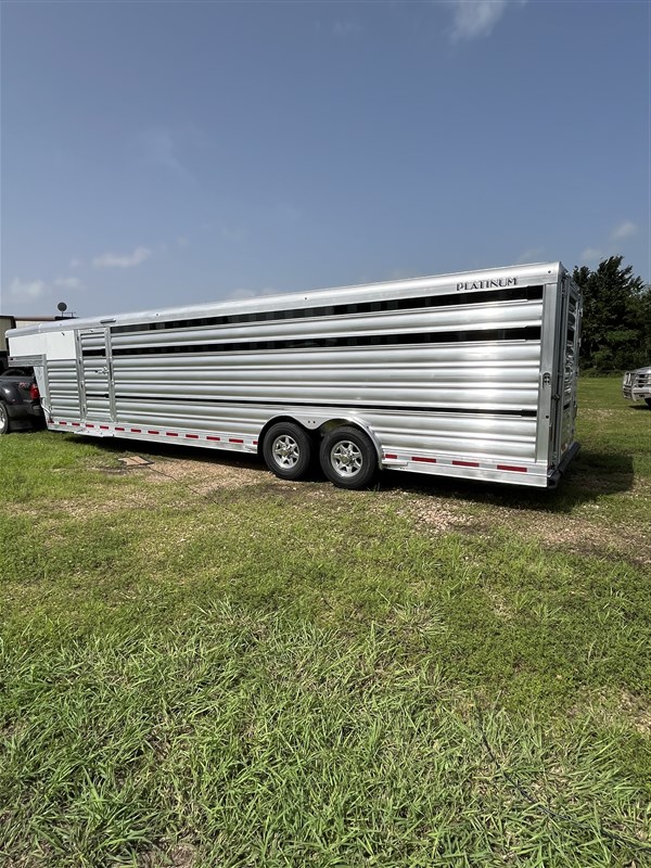 2026 Platinum Coach show cattle. last one at this price demo sale
