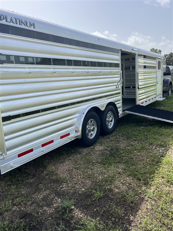 2026 Platinum Coach show cattle. last one at this price demo sale
