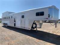 2026 5 horse Platinum 5h 13.3 swall