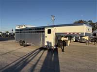 2026 8 horse 4 Star 8H Polo GN