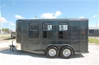 2026 3 horse Calico slant 3