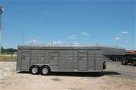 2025 Stock horse Calico EXOTICS EXPRESS