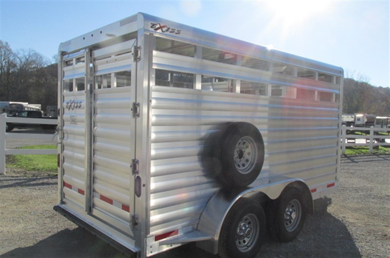 2026 Exiss stock 613