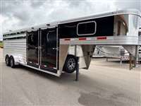 2025 Stock horse Exiss 6824 Show Stock    J5164
