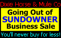 Dummy Ad