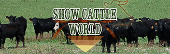Show Cattle World
