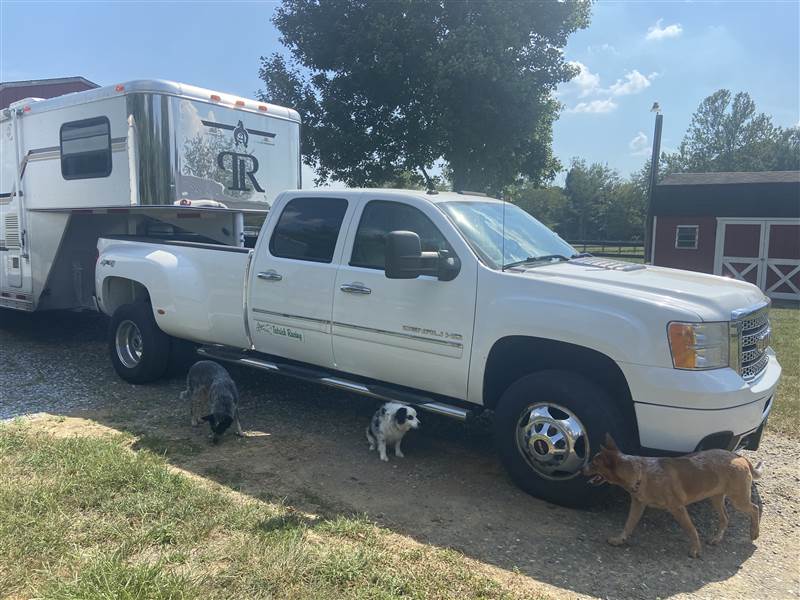Truck Photo 5